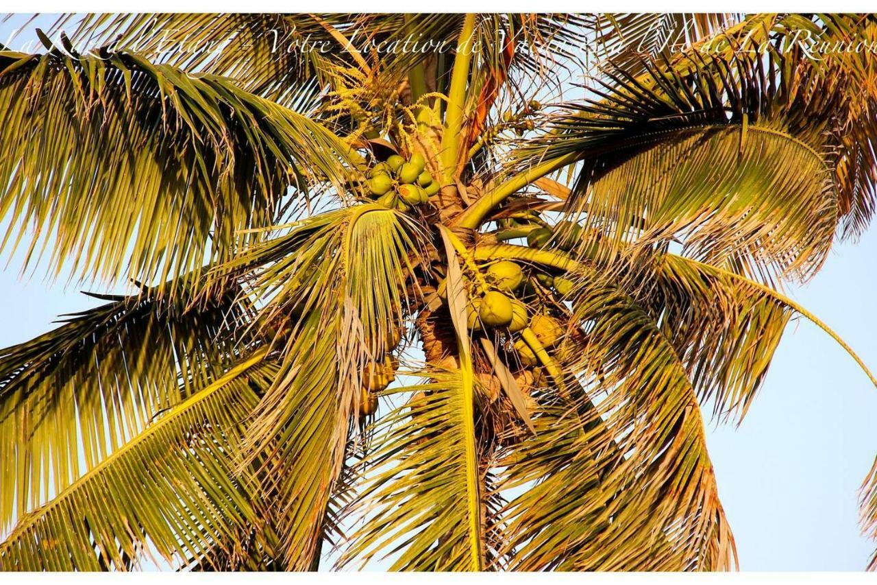 La Kaz A L'Etang - Votre Location De Vacances A L'Ile De La Reunion Saint-Louis Exterior foto