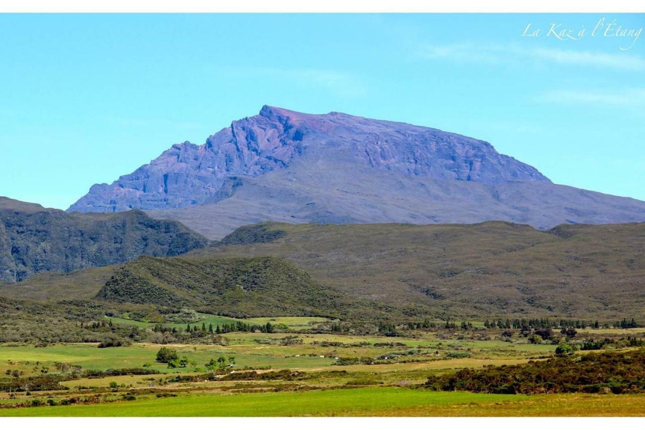 La Kaz A L'Etang - Votre Location De Vacances A L'Ile De La Reunion Saint-Louis Exterior foto