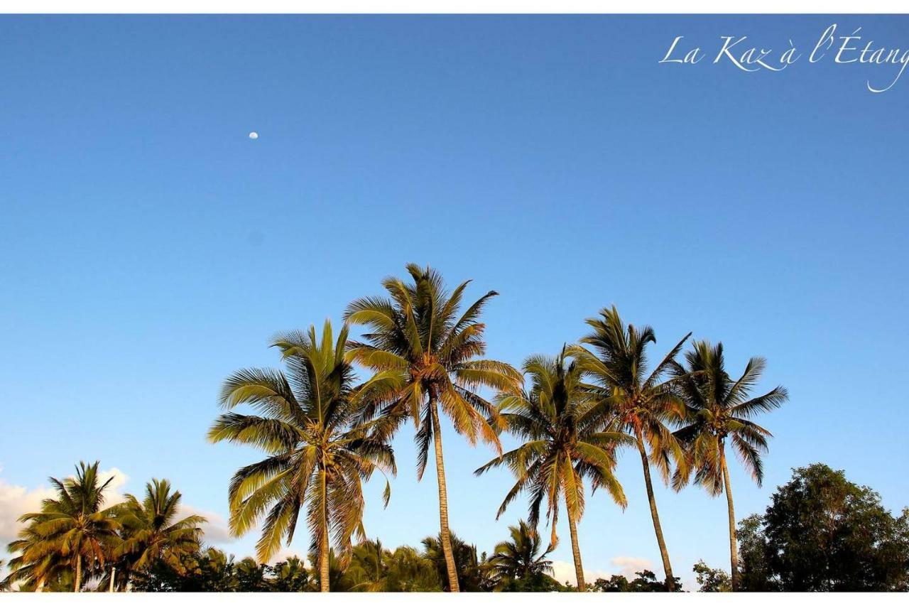La Kaz A L'Etang - Votre Location De Vacances A L'Ile De La Reunion Saint-Louis Exterior foto